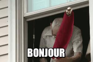 Gif avec les tags : bonjour,drapeau,nazi