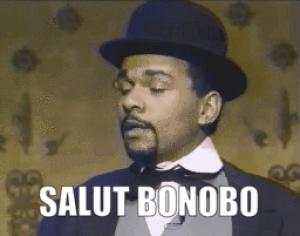 Gif avec les tags : bonobo,chapeau,salut