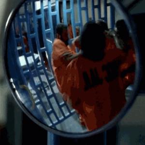 Gif avec les tags : Reynouard,prison,révisioniste