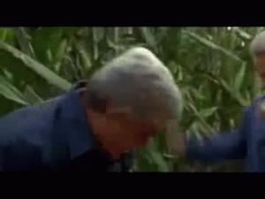 Gif avec les tags : massacre