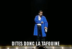 Gif avec les tags : tafouine