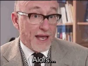 Gif avec les tags : Jakubowicz,inversé,nazi,quenelle,salut