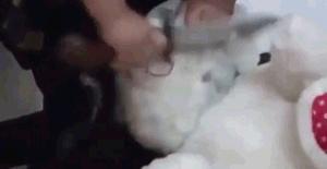 Gif avec les tags : couteau,décapitation,peluche