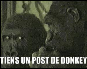 Gif avec les tags : Donkey,Singe,gorille,post,tiens