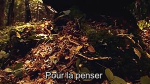 Gif avec les tags : caca,cercueil,foret