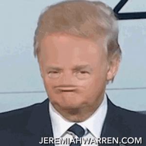 Gif avec les tags : donald trump face tête