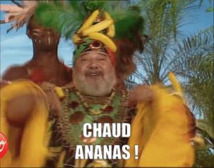 Gif avec les tags : ananas,carlos,chaud,kikouyou