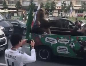 Gif avec les tags : Russie,ours,quenelle