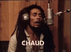 Gif avec les tags : Bob Marley,ananas,chaud ananas