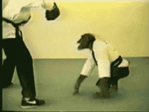 Gif avec les tags : bonobo,kick