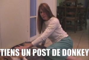 Gif avec les tags : Donkey,caca,chien,merde,post,tiens