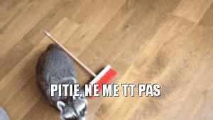 Gif avec les tags : TT,pitie,please,raton