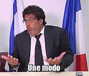 Gif avec les tags : Meyer Habib,modo,sylphide