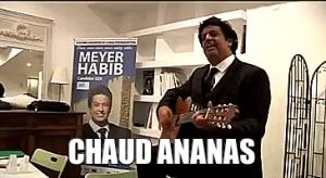 Gif avec les tags : Meyer Habib,ananas,chanson,chaud,guitare