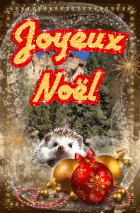 Gif avec les tags : Joyeux Noël,hérisson