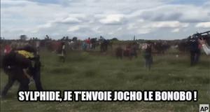 Gif avec les tags : TT,ban,bonobo,jocho,marc,modération,sylphide,teletubbies