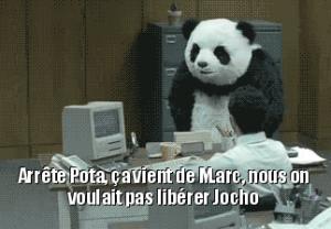 Gif avec les tags : jocho,libérer,marc,panda,pota