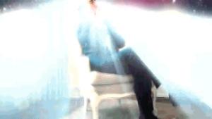 Gif avec les tags : BHL